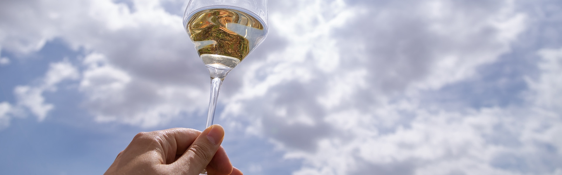 Chakra white wine in tasting glass